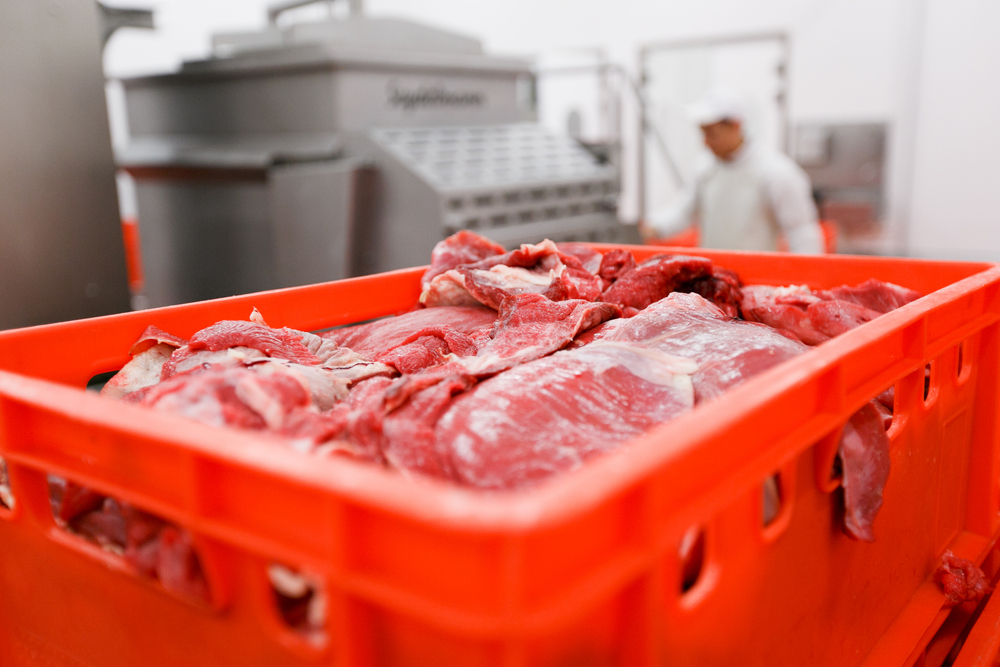 Prepravka na mäso z plastu je dnes obľúbenejšia než nerezová