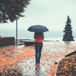 Jeseň plná farieb alebo príprava na nekonečnú tmu?