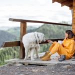 Dovolenka so zvieratami? V týchto ubytovacích zariadeniach na Slovensku vám ich nevyhodia