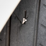 Aké poškodenia pneumatík sa dajú opraviť a aké vedú k výmene za nové?