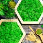 Machový obraz zo stabilizovaného machu zavesený na stene, prinášajúci prírodnú atmosféru do moderného interiéru.